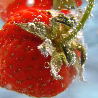 Strawberry wallpaper