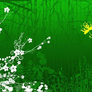 Green butterfly wallpaper