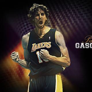 Pau Gasol wallpaper