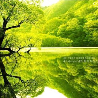 Bible verses backgrounds