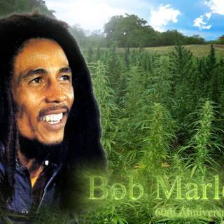 Bob marley wall paper