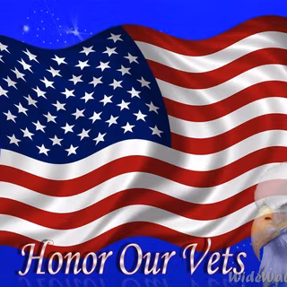 Veterans Day wallpaper
