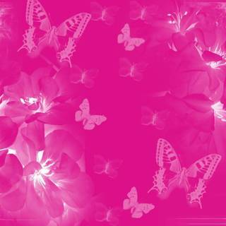 Pink butterfly backgrounds