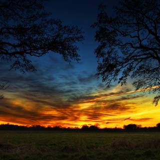 New wallpaper background