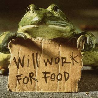 Pagalworld funny wallpaper