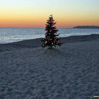 Tropical Christmas wallpaper