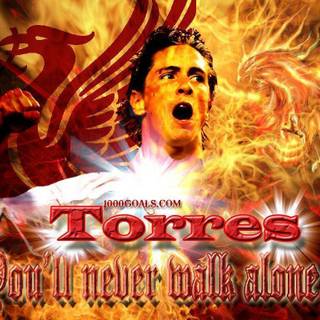 Liverpool fc wallpaper torres