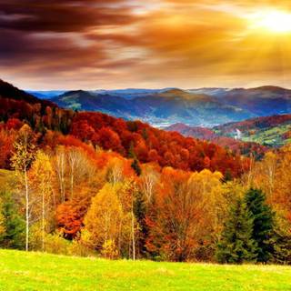 Autumn scenery wallpaper
