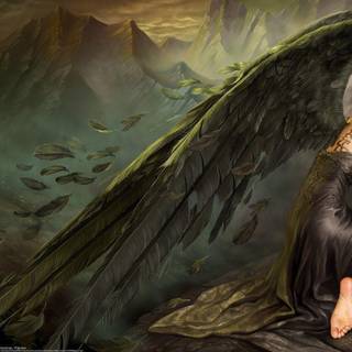 Download pictures of beautiful women