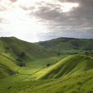 New Zealand wallpaper