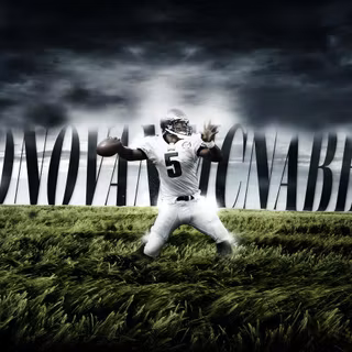 Donovan mcnabb wallpaper