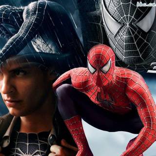 Free Spiderman wallpaper