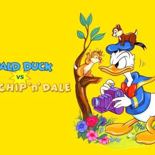 Donald Duck wallpaper
