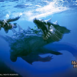 Monster hunter tri wallpaper