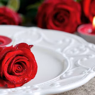 Red rose pictures