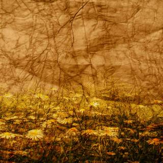 Texture background wallpaper