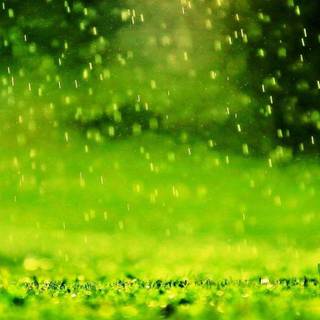 High quality nature pictures