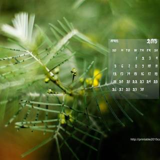Desktop wallpaper calendar April 2015