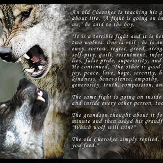 Cherokee Indian wallpaper