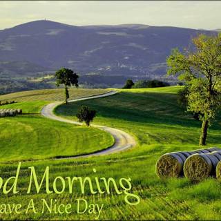 Free download good morning greetings