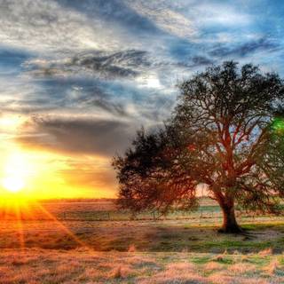 Free wallpaper 1920x1080 HD