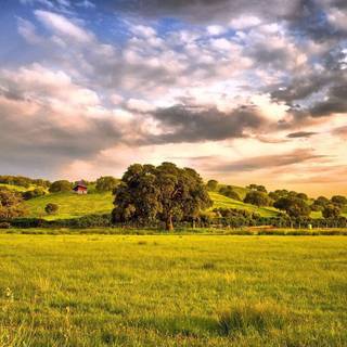 Spring wallpaper 1920x1080