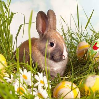 Free easter wallpaper desktop