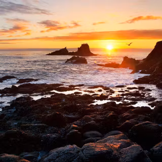 Laguna Beach wallpaper