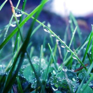 1600x900 HD wallpaper