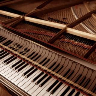 Piano keys wallpaper