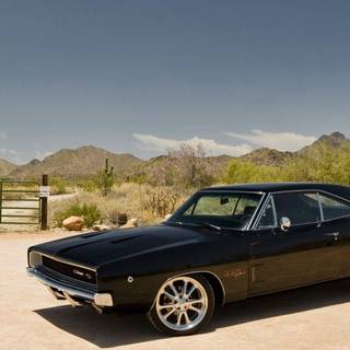 Muscle cars HD wallpaper