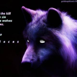 Cool wolf backgrounds