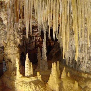 Bobbi starr wallpaper