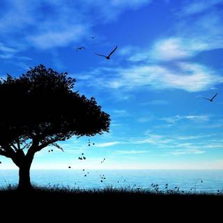 Free amazing wallpaper