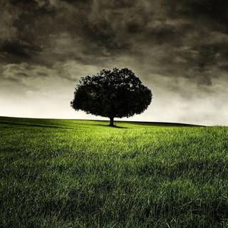 Landscape backgrounds