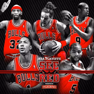 Chicago bulls wallpaper 2013