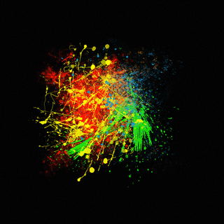 Paint splatter wallpaper