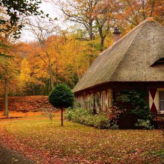 Autumn HD wallpaper