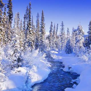 Wallpaper desktop winter scenes