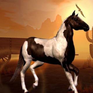 Horse picture download