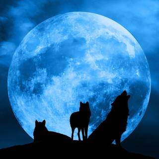 Werewolves images