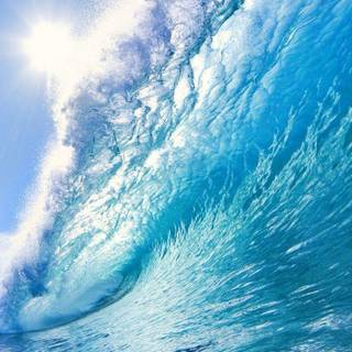 Fullscreen wallpaper