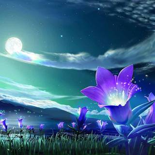 3d wallpaper and backgrounds