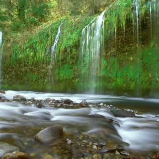 Free desktop wallpaper downloads