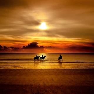 Sunset wallpaper for desktop