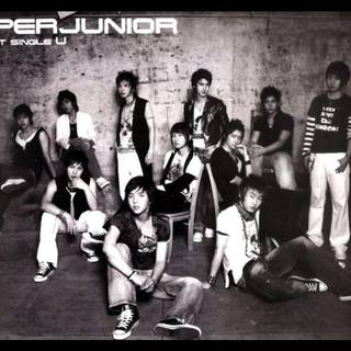 Super Junior wallpaper