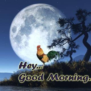 Download free good morning pictures