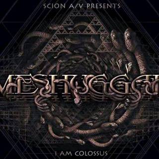 Meshuggah wallpaper