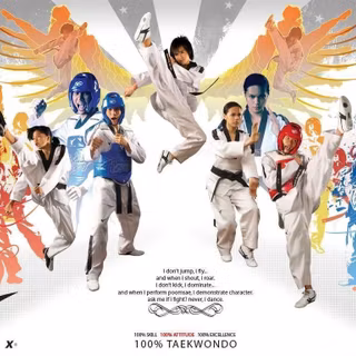 Taekwondo wallpaper