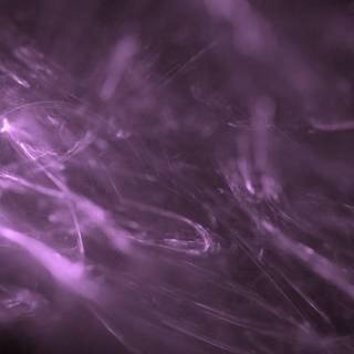 Purple haze background